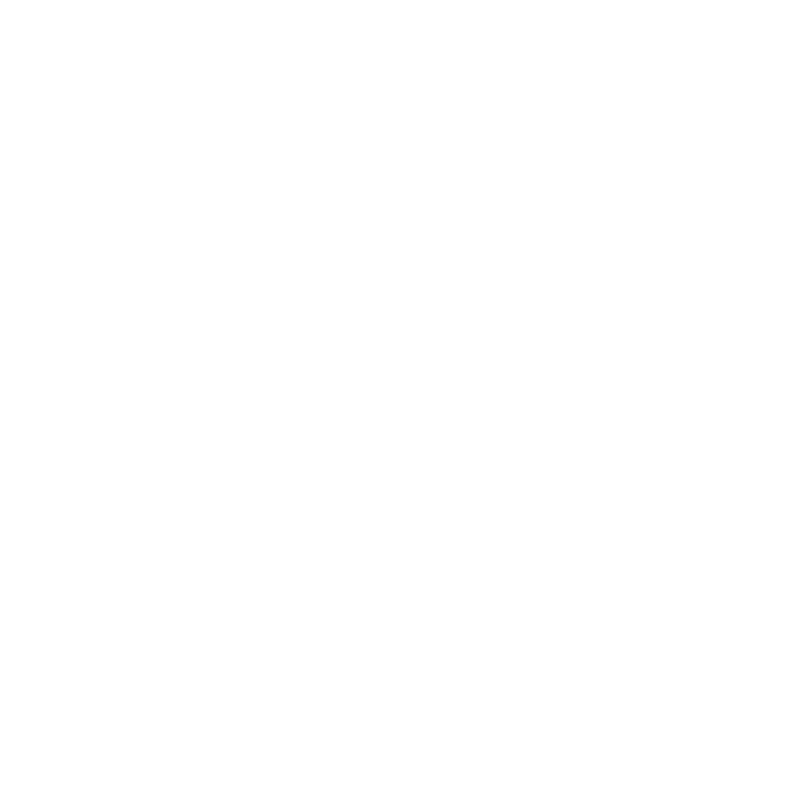 TikSpy Logo